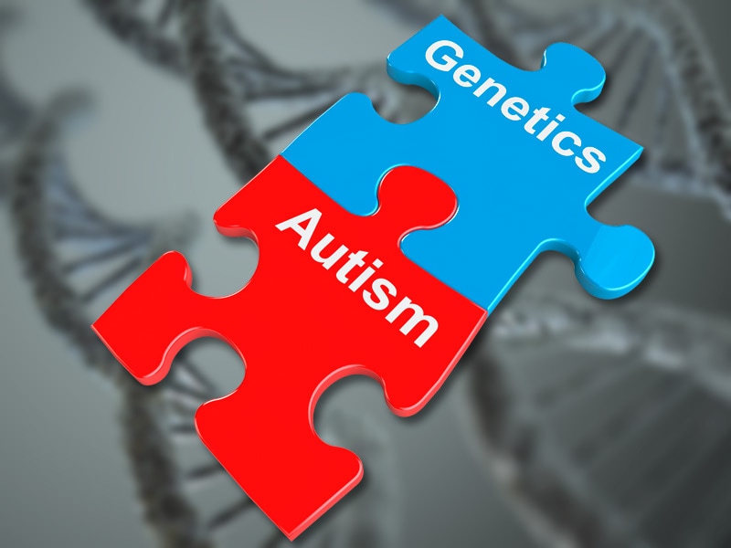 Image result for autism gene
