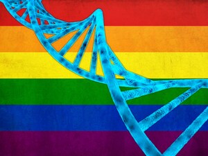 New Clues That Sexual Orientation Could Be Epigenetic