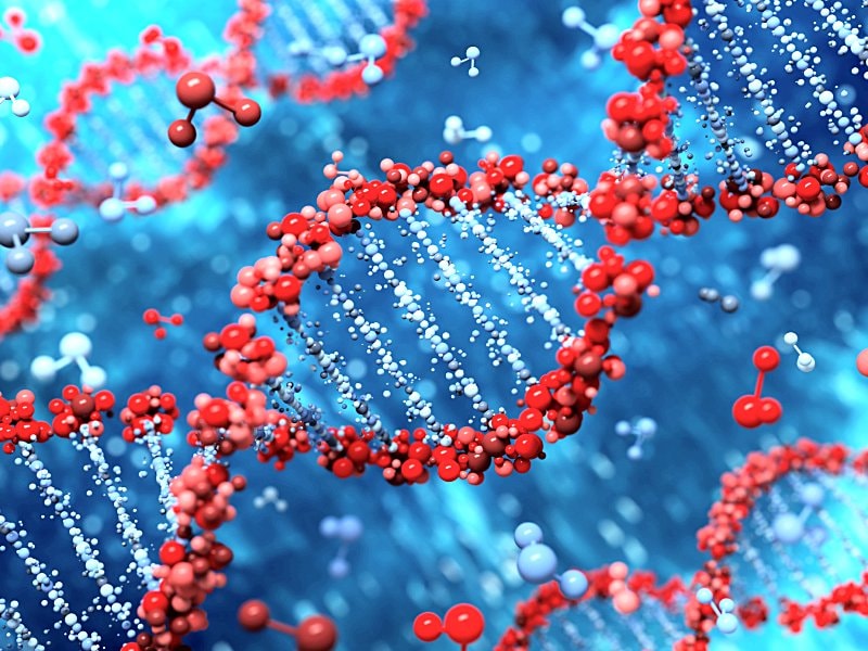 MI-GENES: Disclosing Genetic Risk for CHD May Lower LDL-C Levels