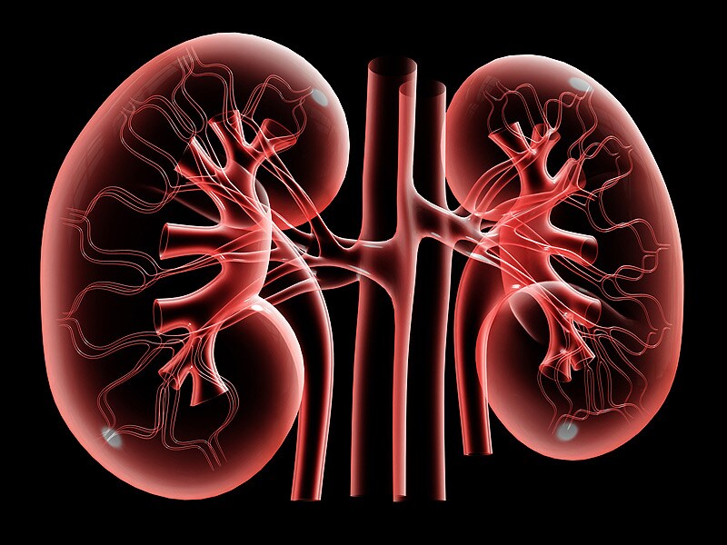 Kidney Blood Pressure