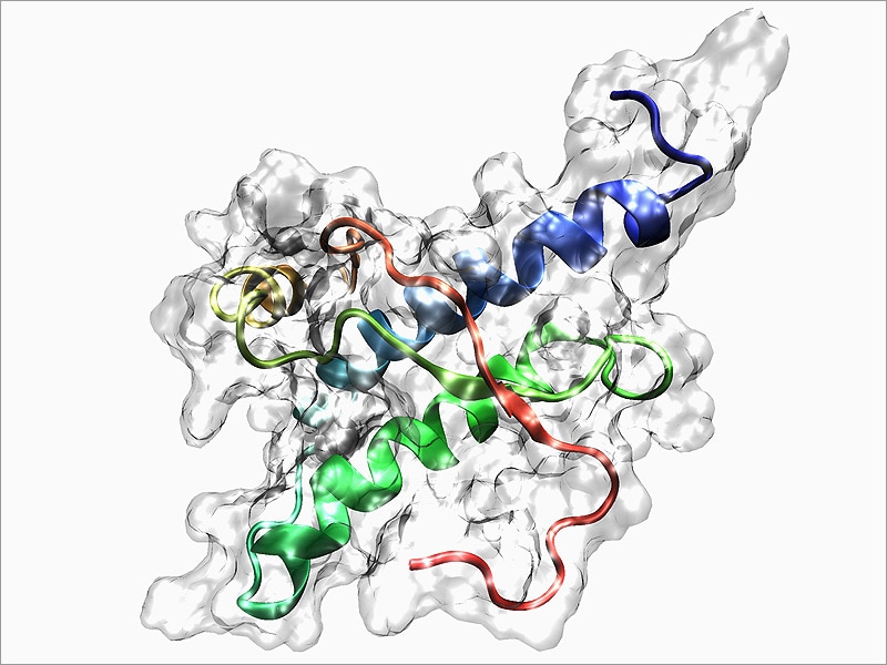 Basic immunology textbook pdf