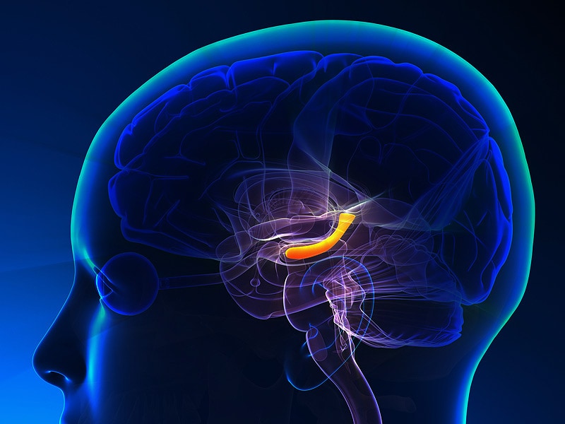 Preserved Hippocampal Volume a Marker for DLB? (Transcript)