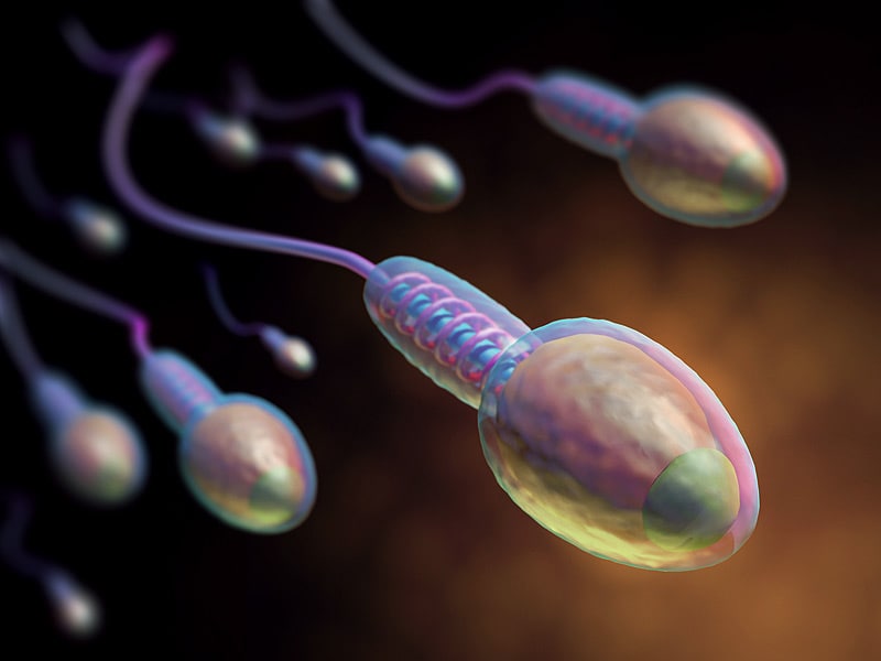 Epigenetic Changes in Sperm Found 10 Years After Chemo 