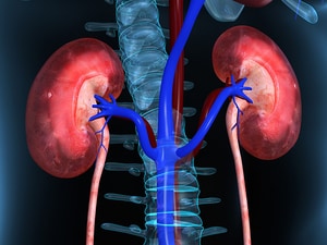 One in 10 People Worldwide Have Chronic Kidney Disease