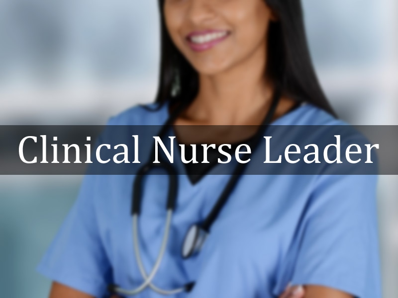 clinical nurse leader        
        <figure class=