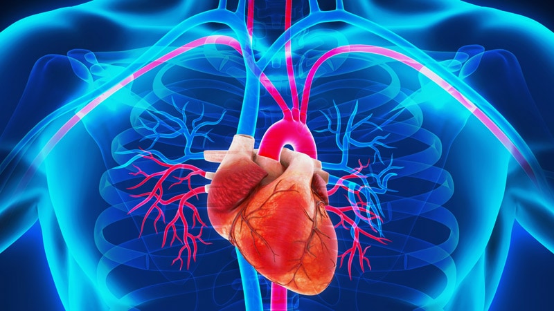 Réveil sur le sommeil et la santé cardiovasculaire