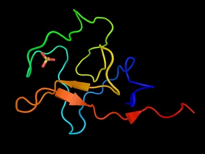 Large Lipoprotein(a) Reductions Needed for Clinical Benefit