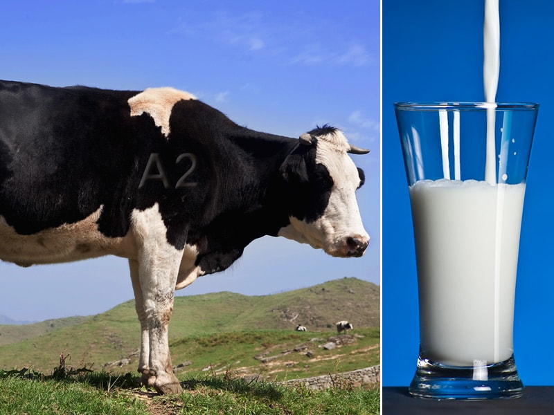 A2 Milk: Breakthrough of Science or Marketing?