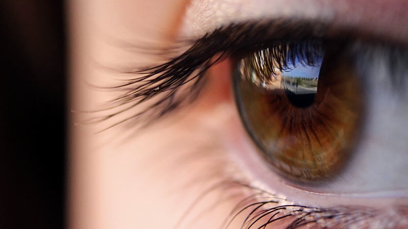 L’amincissement de la couche rétinienne de l’œil, un marqueur de déclin cognitif ?