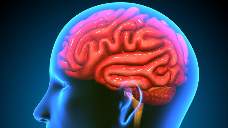 Higher BMI Linked to Lower Brain Volume in MS