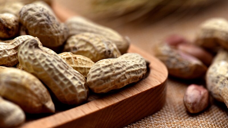 FDA Panel Backs First-in-Class Medication for Peanut Allergy - Medscape