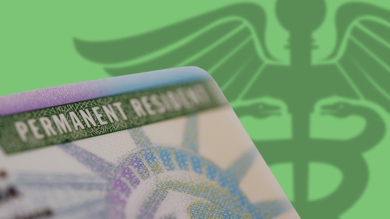 An MD in the US Fights to Get a Green Card Before It's Too ...