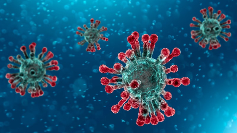 Resultado de imagen para coronavirus