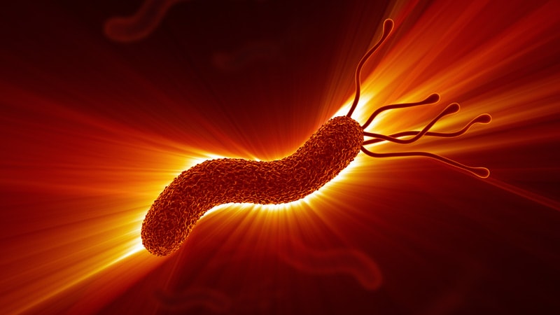 Les antibiotiques H pylori perturbent brièvement le microbiome intestinal