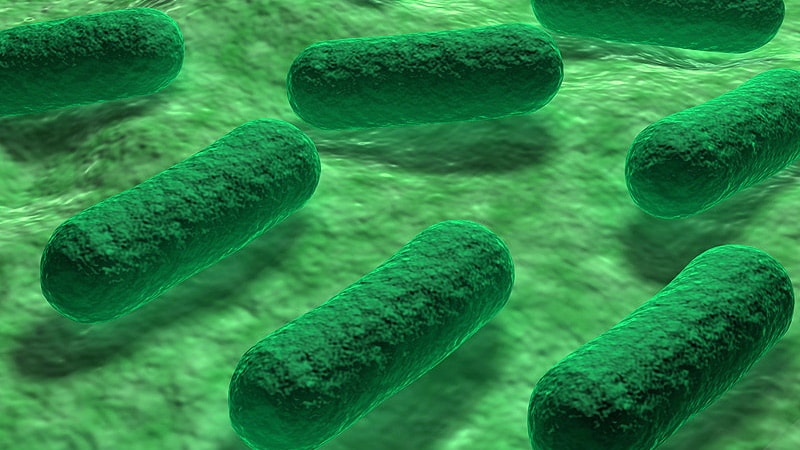 Le CDC enquête sur une épidémie d’E coli dans le Michigan, Ohio