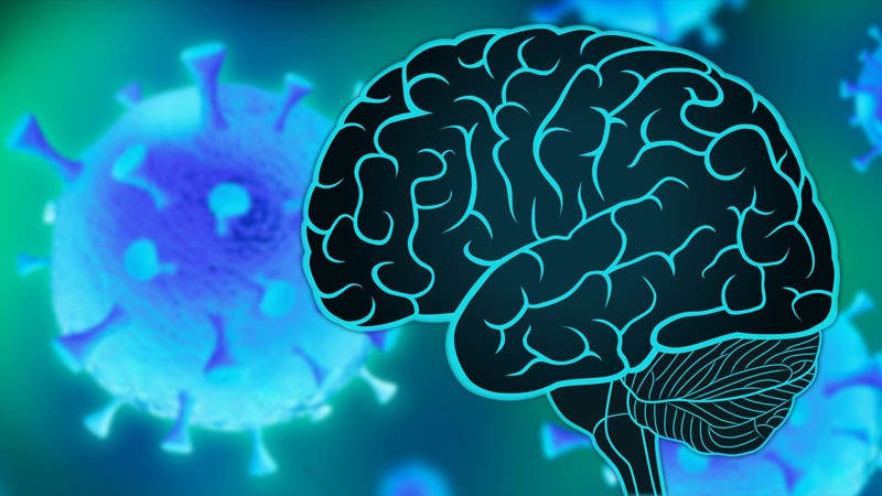 COVID-19: Does Virus Directly Attack the Brain?