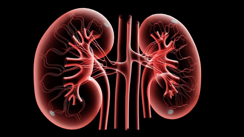 Renal Denervation Response Similar Regardless Of CV Risks