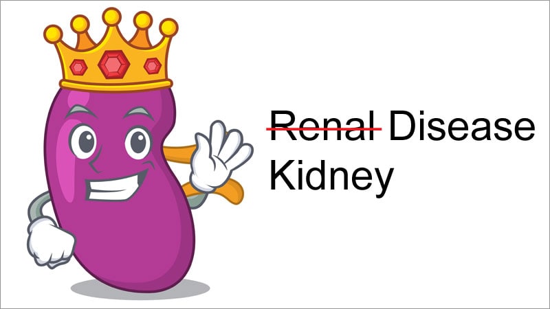 Kidney' vs 'Renal': Experts Say Words Matter