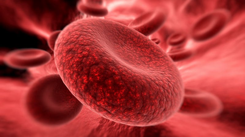 Red Blood Cells Made To Deliver Antibiotics To Bacteria