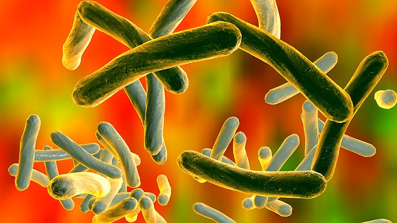 Proteomics Reveals Potential Targets for Drug-Resistant TB