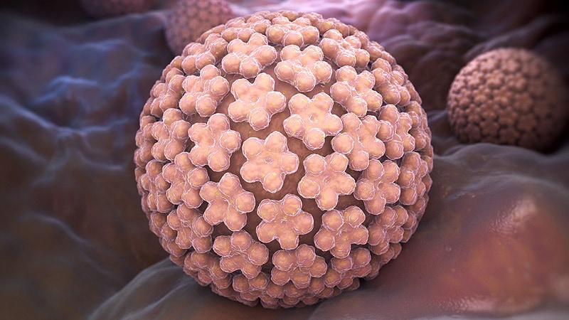 Vaginose bactérienne liée à des infections persistantes au VPH