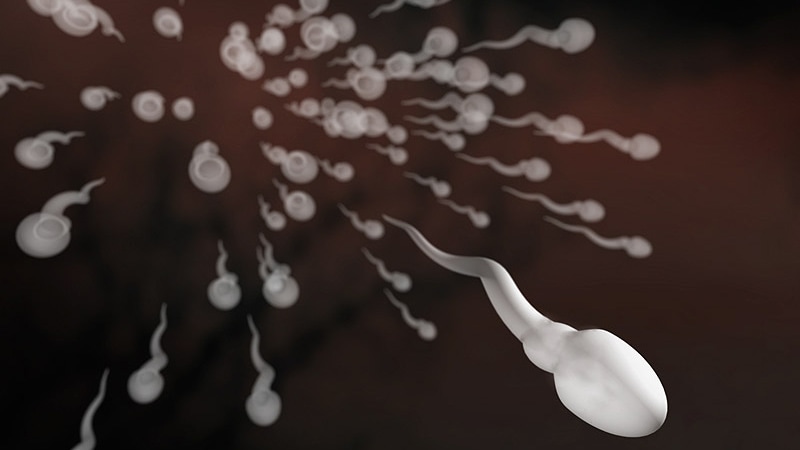 Un nouveau test pourrait transformer l’infertilité masculine