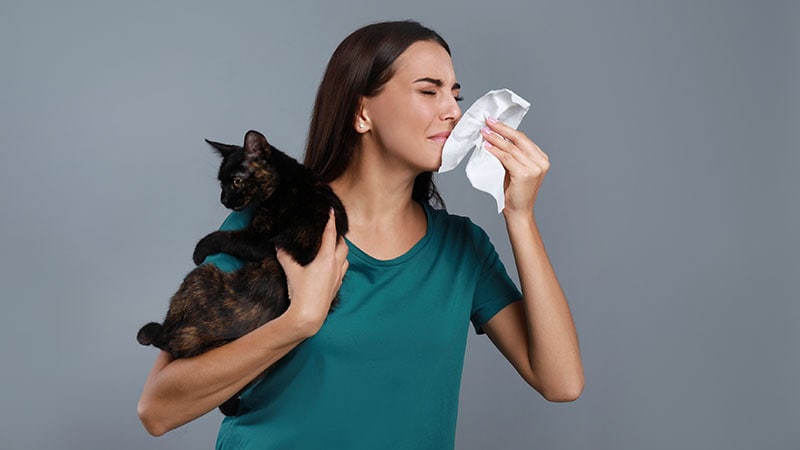 Ajouter Tezepelumab au SCIT pour améliorer les symptômes d’allergie aux chats ?