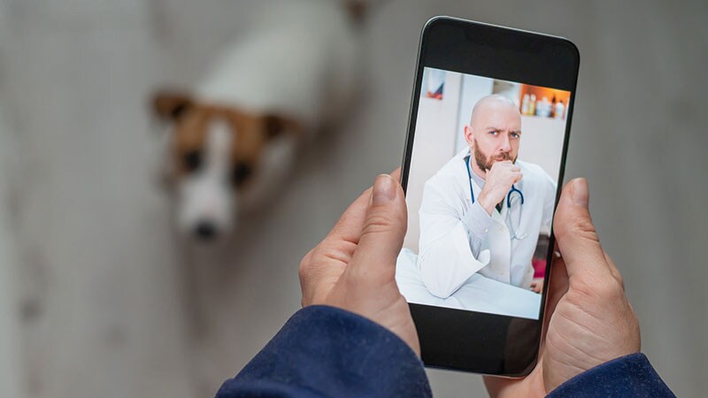 Votre smartphone sera-t-il le prochain cabinet médical ?