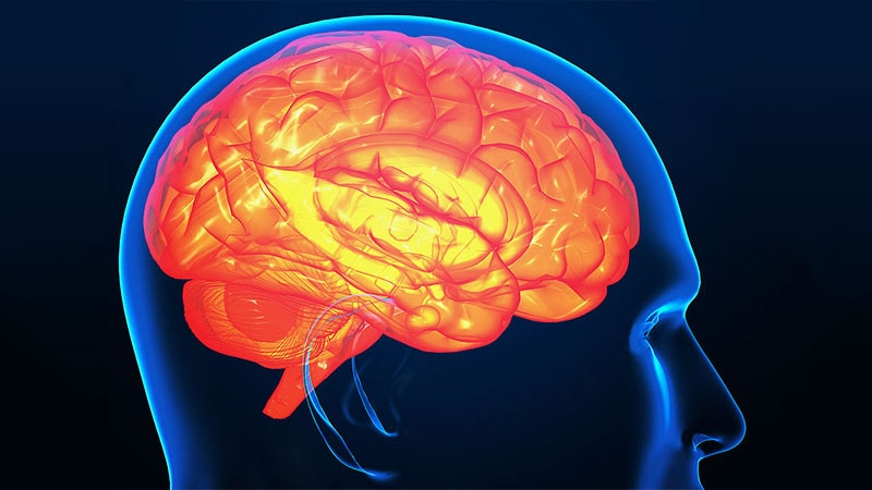 Des chercheurs découvrent des anomalies cérébrales liées au SMSN