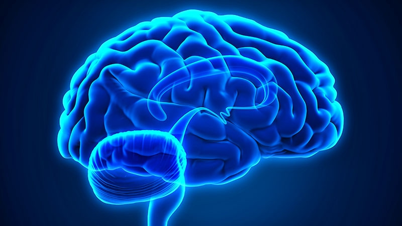Le ticagrelor peut réduire les lésions cérébrales après pose d’un stent carotidien