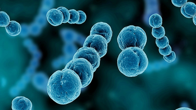 Les infections streptococciques graves rebondissent après une accalmie pandémique