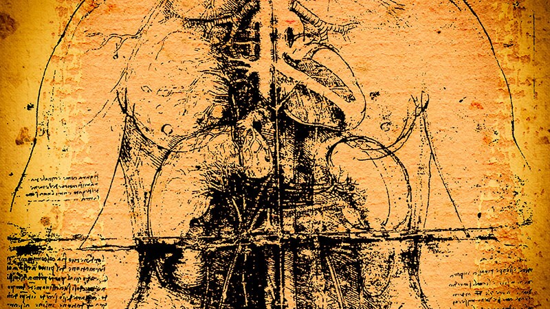 Léonard de Vinci : anatomiste visionnaire, pionnier de l’imagerie