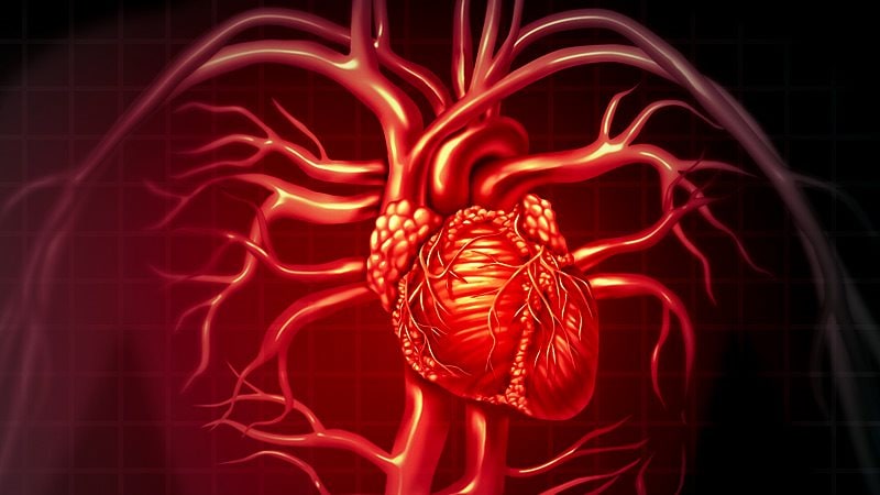 L’AHA/ACC publie des lignes directrices mises à jour sur les maladies coronariennes chroniques