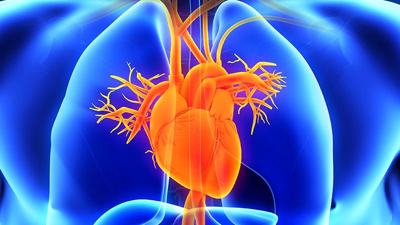 Anticoagulation Aucun bénéfice en cas de FA présumée détectée par les appareils cardiaques