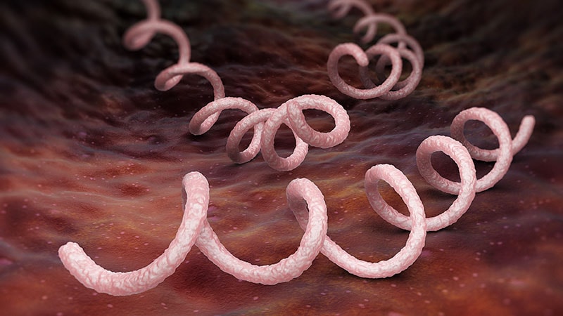 L’augmentation de la syphilis constitue une « urgence sanitaire » pour le Canada