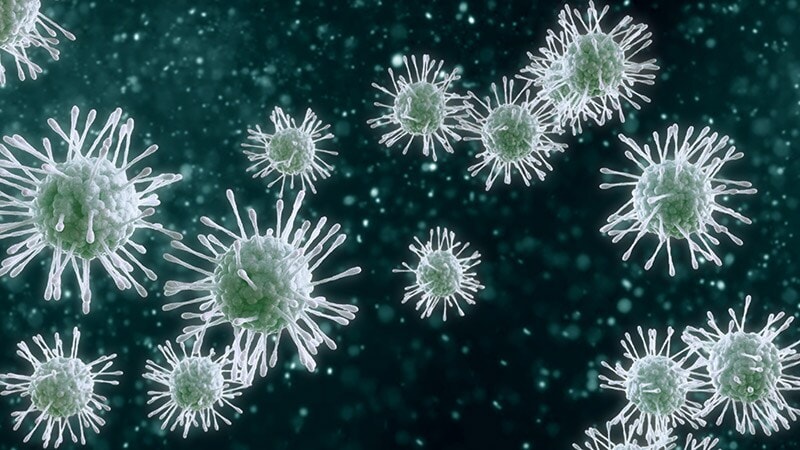 Quick Five Quiz: Influenza Review