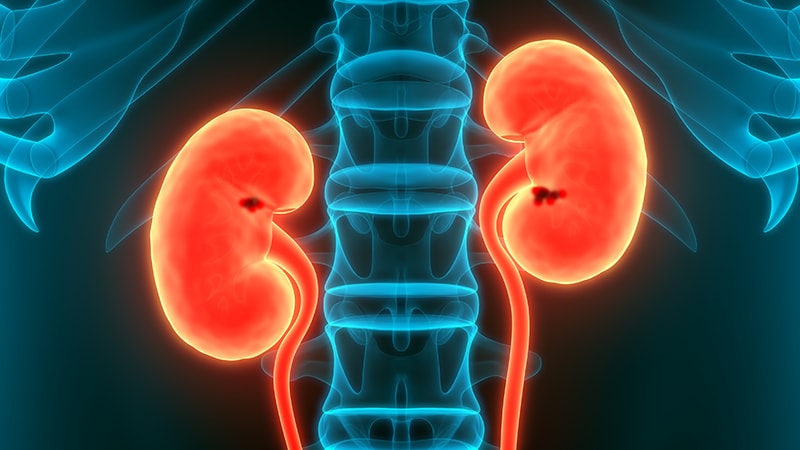 Chronic Kidney Disease Tied to Worse LAAO Outcomes