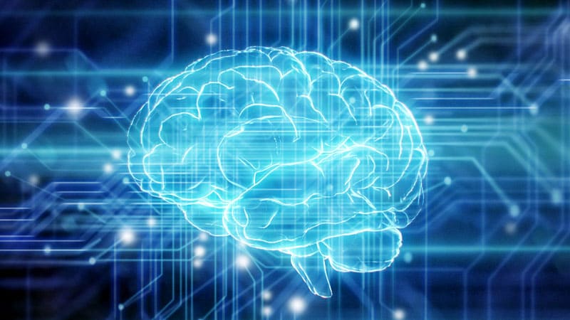 Human Brain Patterns May Help Build a Better AI System