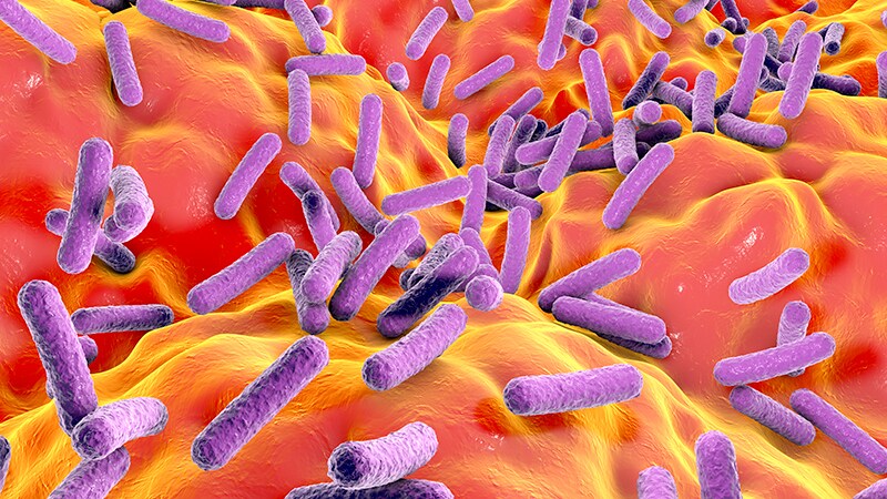 La variation du microbiome intestinal basée sur la race apparaît tôt dans la vie