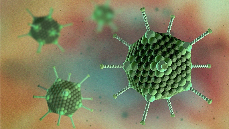 Le lien entre l’hépatite pédiatrique et l’adénovirus 41 n’est toujours pas clair