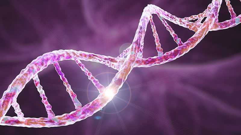 Premiers résultats prometteurs avec l’édition de l’ADN pour réduire le LDL