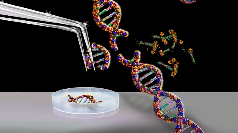 L’édition de gènes CRISPR franchit une nouvelle étape dans l’amylose TTR