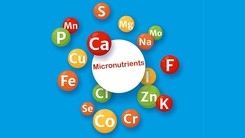 Meta-analysis: Some micronutrients may be better for the heart