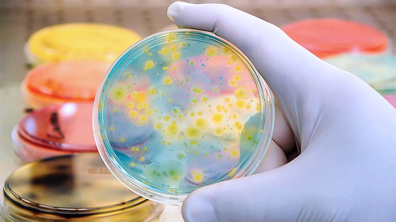 La résistance aux antimicrobiens nécessite une réponse multiple