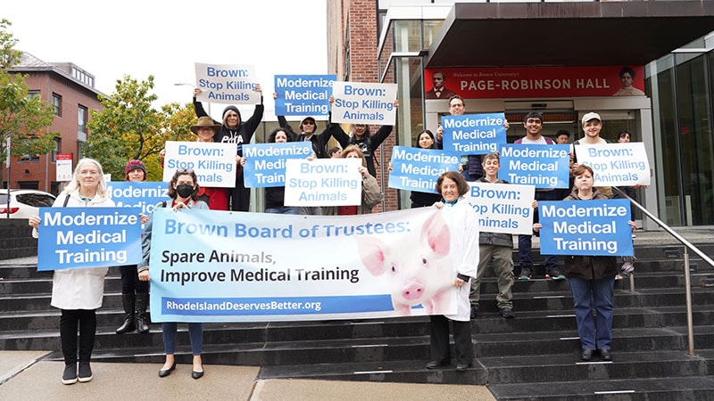 Using Live Pigs in Residency Training Sparks Heated Debate