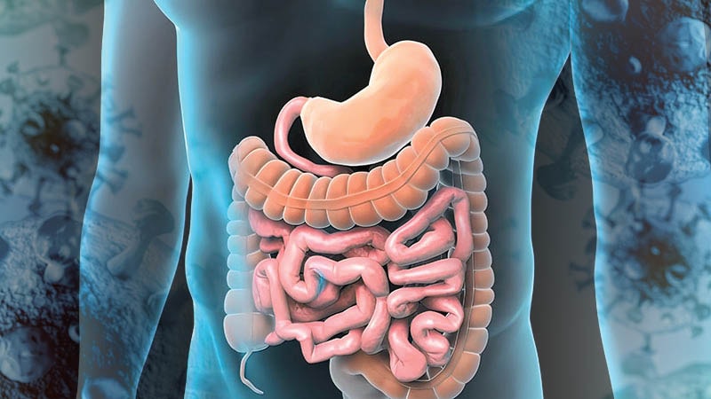 Liens « non appréciés » entre le COVID et la dysbiose intestinale