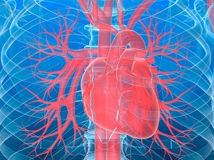 Aromatase Inhibitors: Is Cancer Benefit Worth Cardiac Risk?