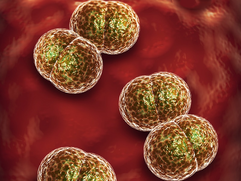 Chlamydia trachomatis neisseria gonorrhoeae