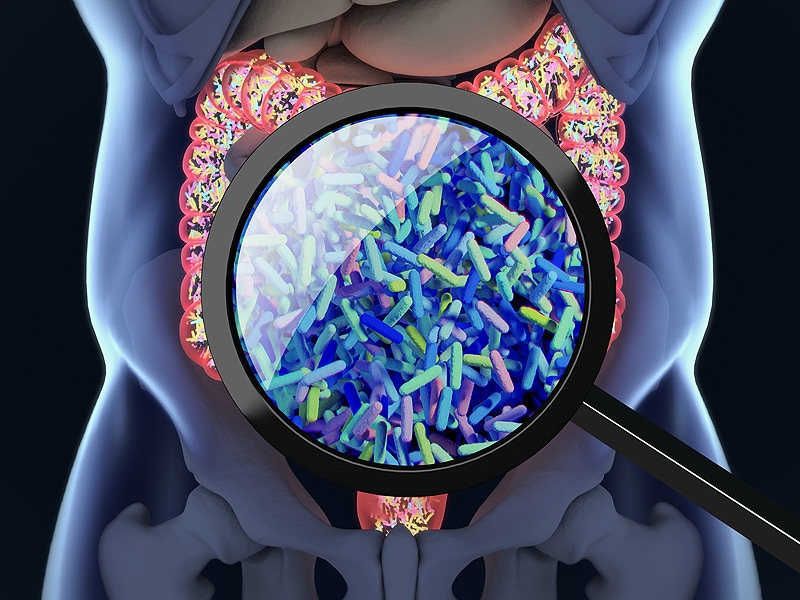 Sexual Behavior May Influence Gut Microbiome