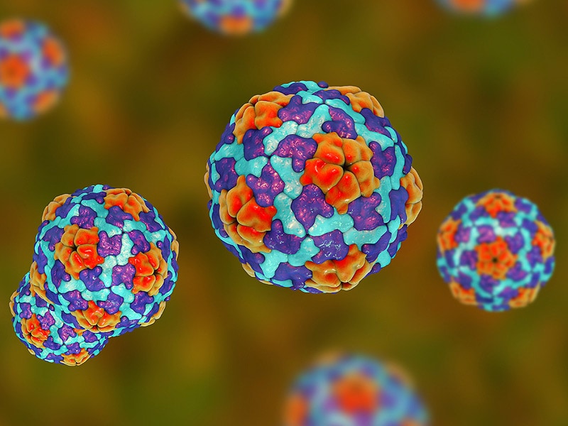 Clinical Guideline On Hbv Released By Acp Cdc
